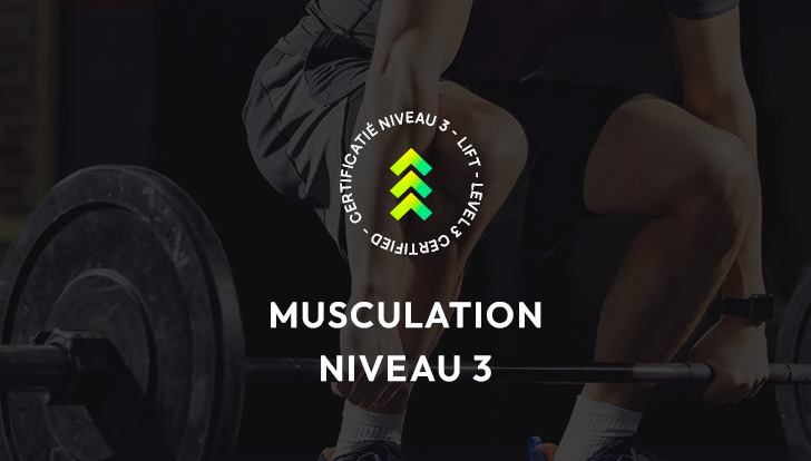 Musculation 3