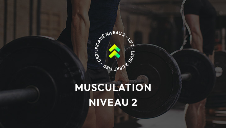 Musculation 2
